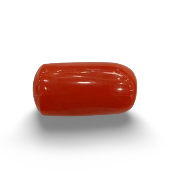 NaturalRed Coral | Certified| Oval CutGemstone Summary No. IGCDKBAJ44935 image 0