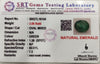 Natural Emerald |25H00| OVAL MIXED | Lab Certified No. SRGTL16144