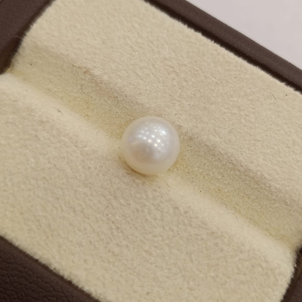 Natural South Sea Pearl – A Symbol of Elegance & Purity Summary No IGCDKBAJ42603 image 1