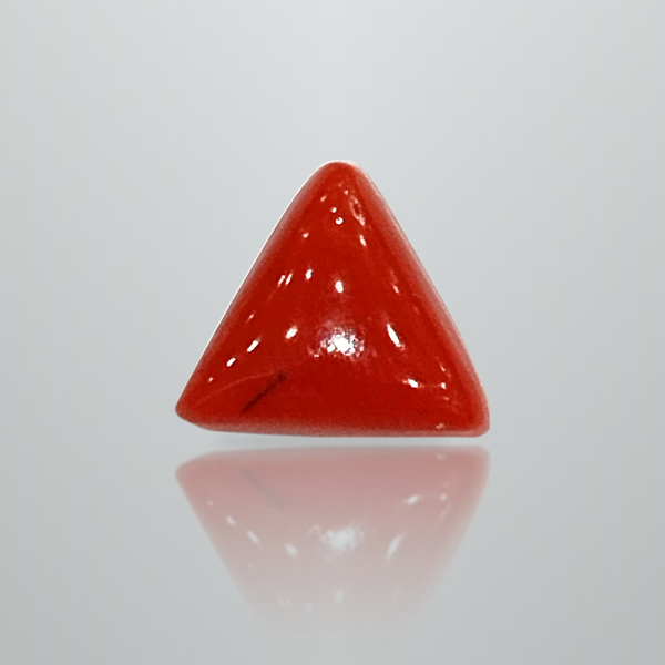 Natural Italian Red Coral (Moonga) triangular cabochon, untreated, certified IGCDKBAJ42438