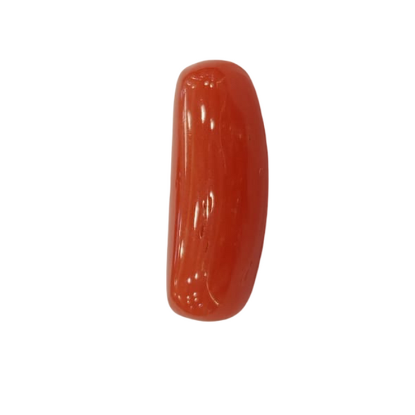 NaturalRed Coral | Certified| Capsule CutGemstone Summary No. IGCDKBAJ44973 image 1