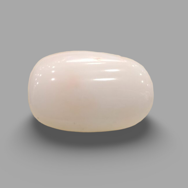 Natural White Coral (Safed Moonga) certified loose gemstone, report no. IGCDKBAJ41531