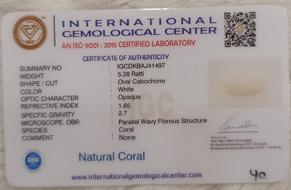 Natural White Coral: The Symbol of Peace and Strength Summary No IGCDKBAJ41497 image 2