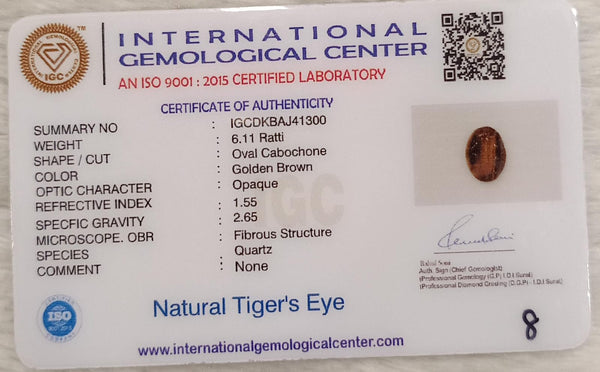 Tiger Eye The Essence of Grounding and Strength Summary No IGCDKBAJ41300 image 2