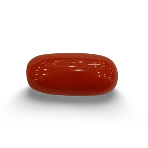 NaturalRed Coral | Certified| Oval CutGemstone Summary No. IGCDKBAJ44886 image 0