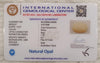 Natural White Opal 3.33 Ratti| Oval Cabochone | Certified No. IGCDKBAJ42900 image 2
