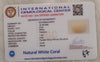 Natural White Coral: The Symbol of Peace and Strength Summary No IGCDKBAJ44678 image 2