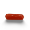 Natural Red Coral | Certified |Capsule Cut Gemstone Summary No. IGCDKBAJ44974 image 0