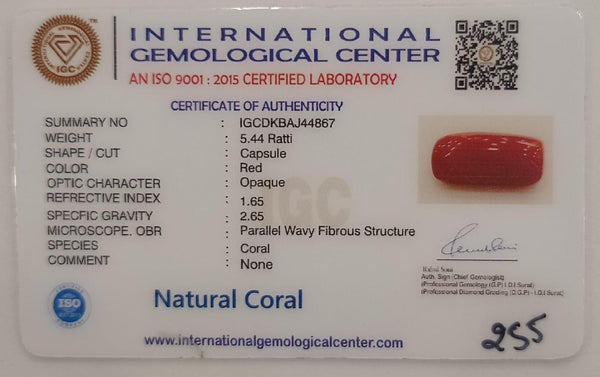NaturalRed Coral | Certified| Capsule CutGemstone Summary No. IGCDKBAJ44867 image 2