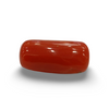 NaturalRed Coral | Certified| Capsule CutGemstone Summary No. IGCDKBAJ44900 image 0