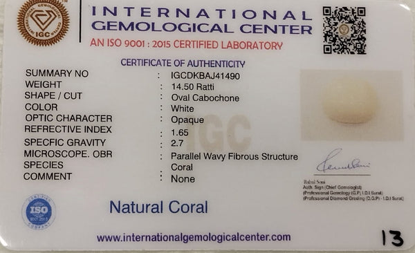 Natural White Coral: The Stone of Purity and Protection Summary No IGCDKBAJ41490 image 2