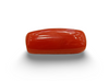 Natural Red Coral | Certified | Capsule Cut Gemstone Summary No. IGCDKBAJ57882 image 0