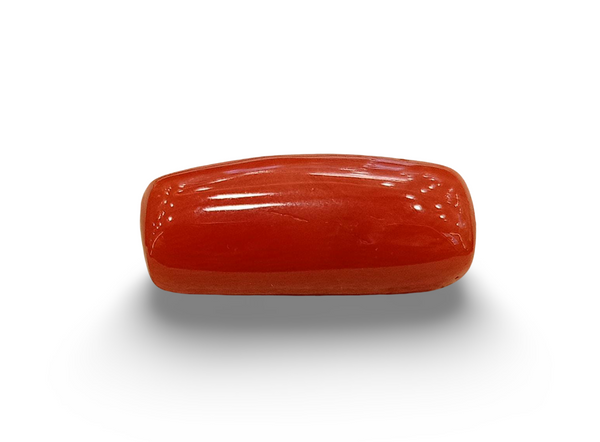 Natural Red Coral | Certified | Capsule Cut Gemstone Summary No. IGCDKBAJ57882 image 0