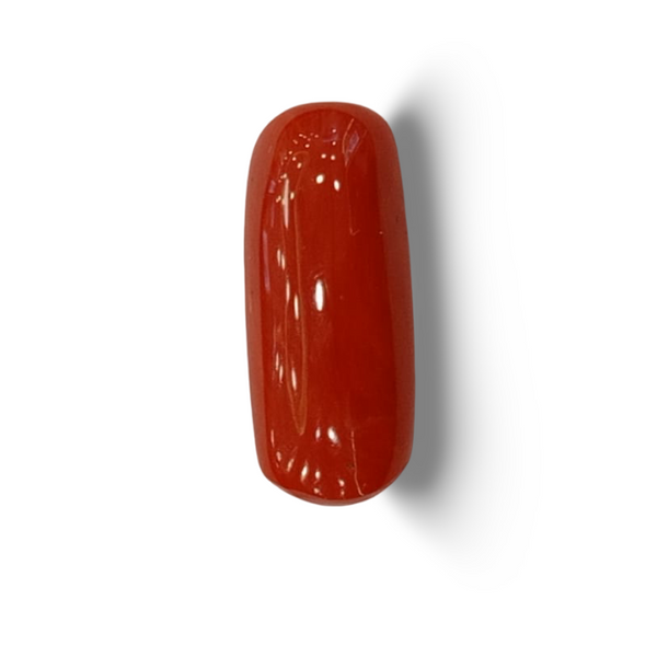 NaturalRed Coral | Certified|Capsule CutGemstone Summary No. IGCDKBAJ47485 image 1