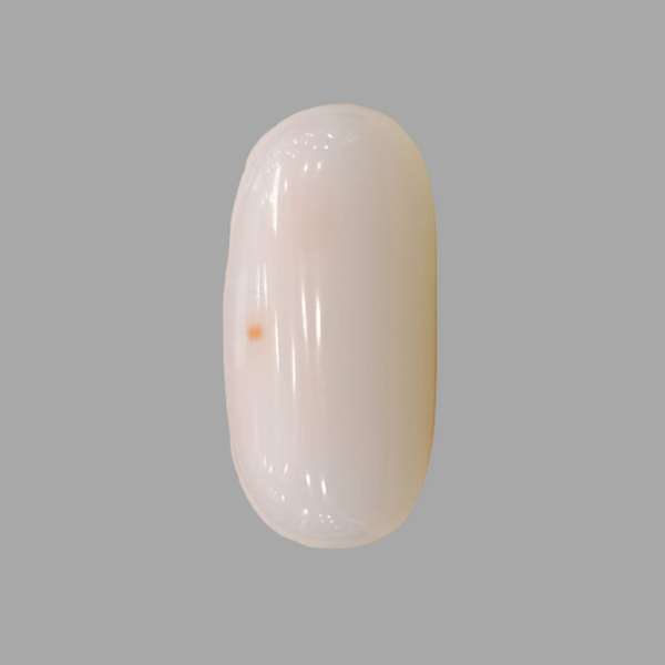 Natural White Coral: The Symbol of Peace and Strength Summary No IGCDKBAJ44677 image 1