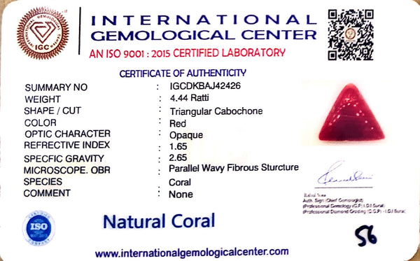 Natural Italian Red Coral | Certified Triangular Cabochon Moonga | Untreated Gemstone IGCDKBAJ42426 image 1