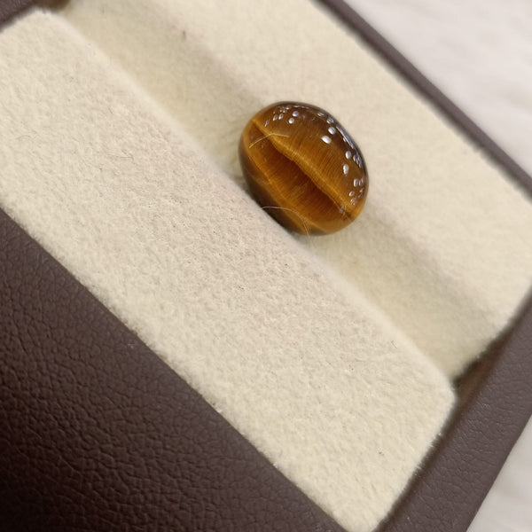 Tiger Eye The Essence of Grounding and Strength Summary No IGCDKBAJ44763 image 1