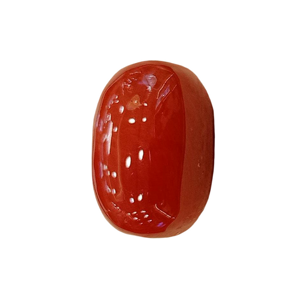 Natural Red Coral | Certified | Oval Cut Gemstone Summary No. IGCDKBAJ57877 image 1
