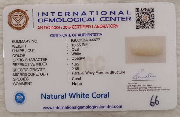 Natural White Coral: The Symbol of Peace and Strength Summary No IGCDKBAJ44677 image 2