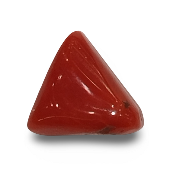 Natural Italian Red Coral (Moonga) triangular cabochon, untreated, certified IGCDKBAJ42442