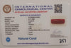 Natural Red Coral | Certified |Capsule Cut Gemstone Summary No. IGCDKBAJ44963 image 2