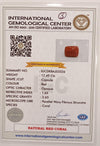 NaturalRed Coral | Certified|Capsule CutGemstone Summary No. IGCDKBAJ53526 image 2