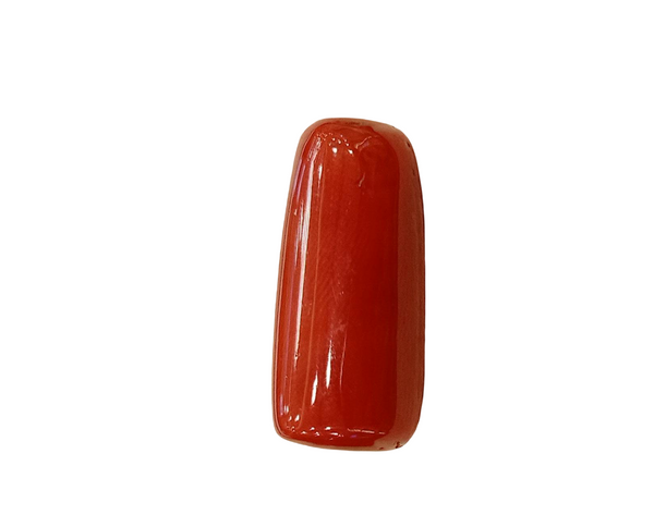 Natural Red Coral | Certified | Capsule Cut Gemstone Summary No. IGCDKBAJ57883 image 1