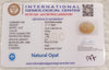 Natural White Opal 11.11 Ratti| Oval Cabochone| Certified No. IGCDKBAJ42939 image 2