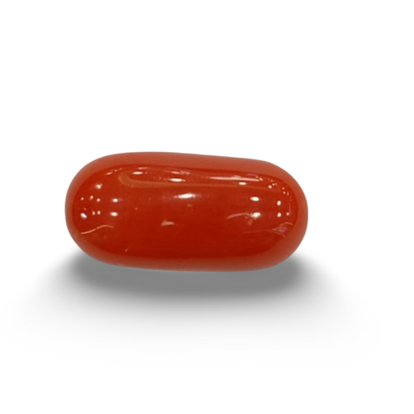 NaturalRed Coral | Certified| Oval CutGemstone Summary No. IGCDKBAJ44932 image 0