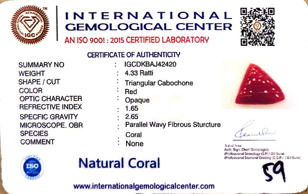Natural Italian Red Coral | Certified Untreated | Triangular Cabochon No. IGCDKBAJ42420 image 1