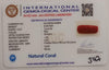 NaturalRed Coral | Certified| Capsule CutGemstone Summary No. IGCDKBAJ44959 image 2