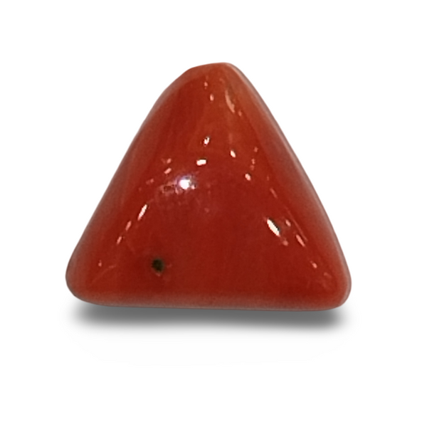 Natural Italian Red Coral | Certified Untreated | Triangular Cabochon image 0