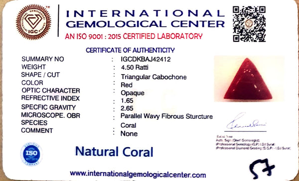 Natural Italian Red Coral | Certified Triangular Cabochon Moonga | Untreated Gemstone IGCDKBAJ42412 image 1