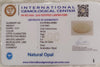 Natural White Opal 3.28 Ratti| Oval Cabochone | Certified No. IGCDKBAJ42892 image 2