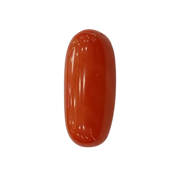 NaturalRed Coral | Certified| Oval CutGemstone Summary No. IGCDKBAJ44875 image 1