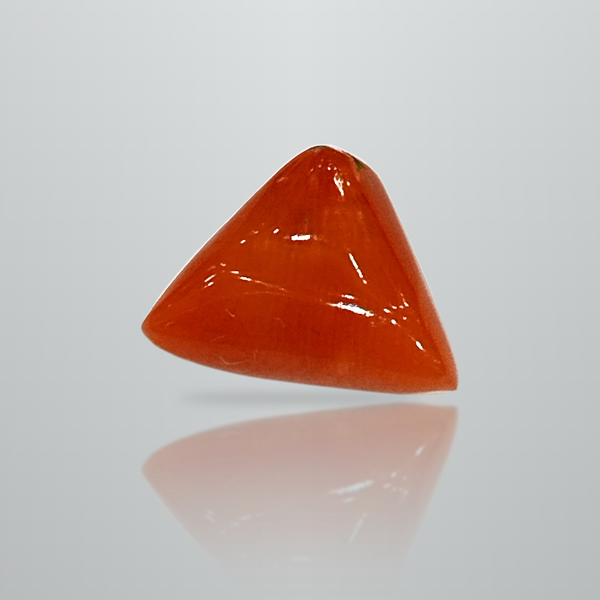 Natural Italian Red Coral (Moonga) triangular cabochon, untreated, certified IGCDKBAJ42439