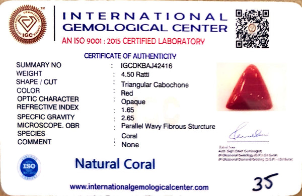 Natural Italian Red Coral | Certified Triangular Cabochon Moonga | Untreated Gemstone IGCDKBAJ42416 image 1
