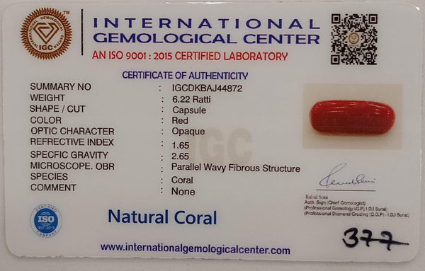 NaturalRed Coral | Certified| Capsule CutGemstone Summary No. IGCDKBAJ44872 image 2