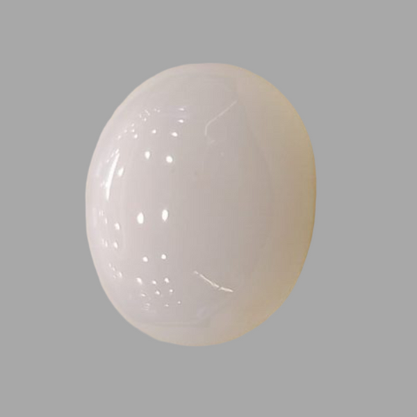 Natural White Coral: The Symbol of Peace and Strength Summary No IGCDKBAJ44679 image 1