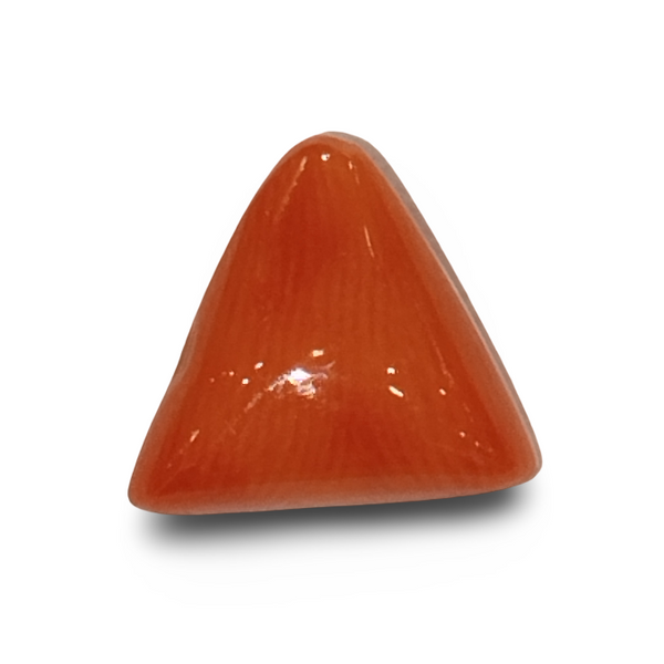 Natural Italian Red Coral | Certified Triangular Cabochon Moonga | Untreated Gemstone IGCDKBAJ42467 image 0