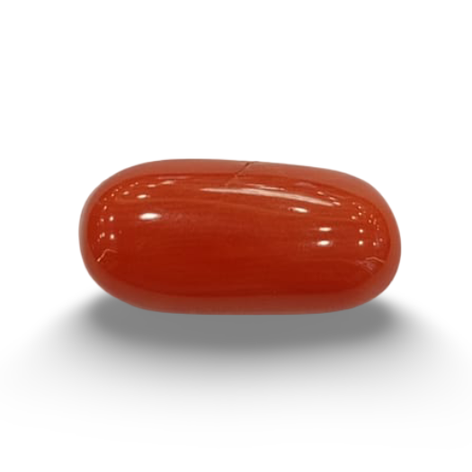 Natural Red Coral | Certified | Oval Cut Gemstone Summary No. IGCDKBAJ44992 image 0