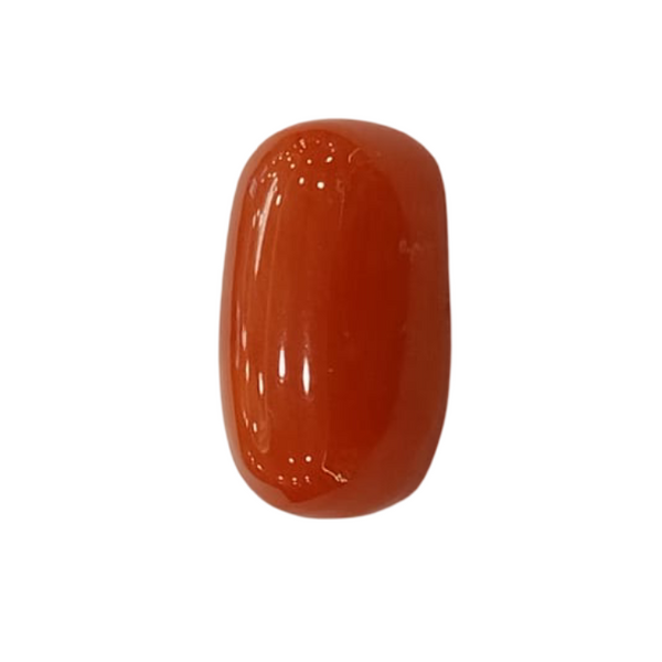 NaturalRed Coral | Certified| Oval CutGemstone Summary No. IGCDKBAJ44943 image 1