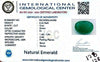 Natural Emerald | Oval Cut | Govt. Lab Certified No. IGCDKBAJ46069 image 2