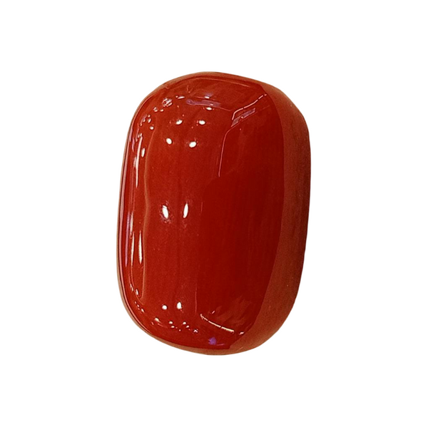 Natural Red Coral | Certified | Oval Cut Gemstone Summary No. IGCDKBAJ57881 image 1