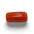 NaturalRed Coral | Certified| Capsule CutGemstone Summary No. IGCDKBAJ44954 image 0