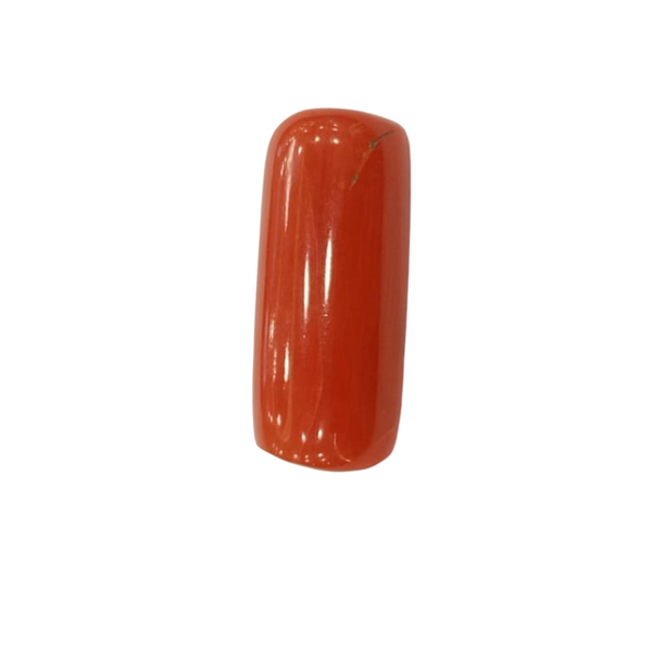 NaturalRed Coral | Certified| Capsule CutGemstone Summary No. IGCDKBAJ44956 image 1