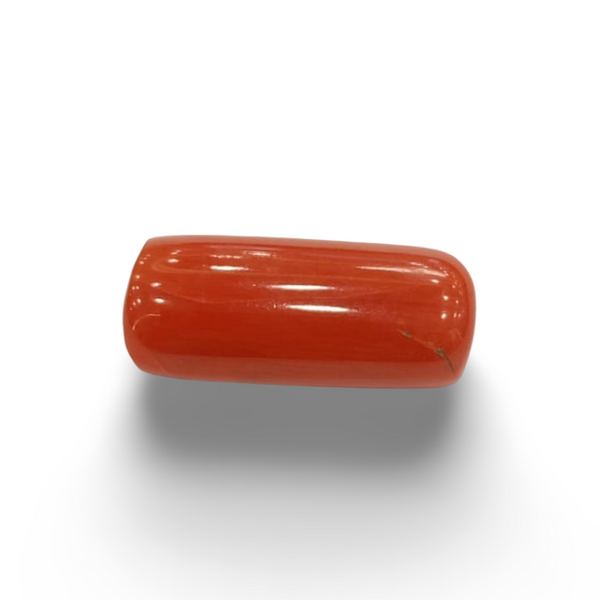 NaturalRed Coral | Certified| Capsule CutGemstone Summary No. IGCDKBAJ44956 image 0