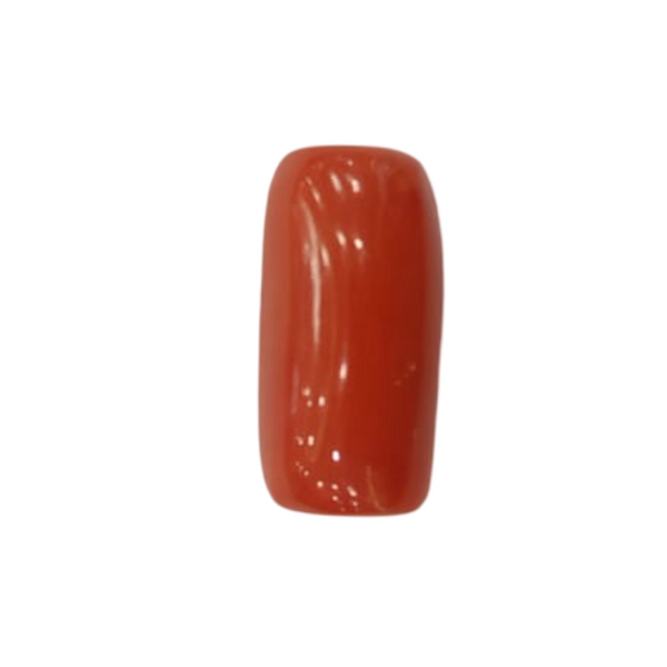 NaturalRed Coral | Certified| Capsule CutGemstone Summary No. IGCDKBAJ44867 image 1