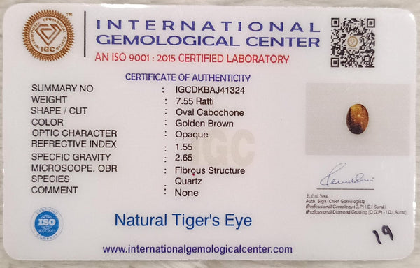 Tiger Eye The Essence of Grounding and Strength Summary No IGCDKBAJ41324 image 2