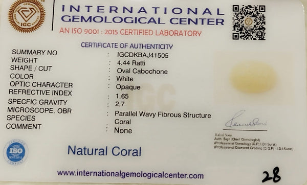 Natural White Coral: The Symbol of Peace and Strength Summary No IGCDKBAJ41505 image 2